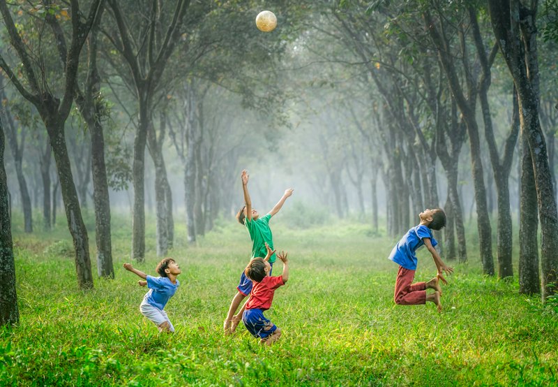 Kinderen spelen samen op het gras